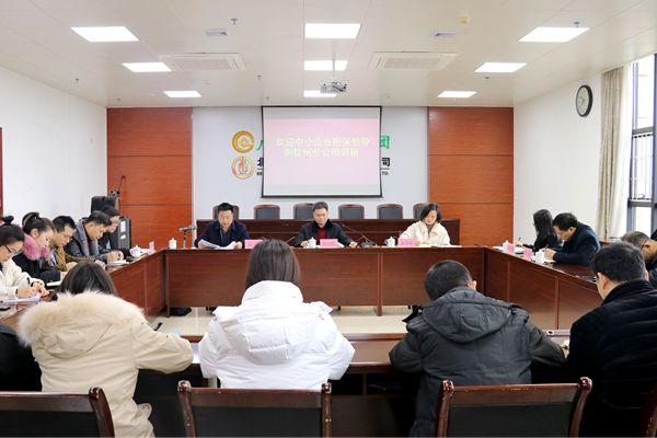 中小企業(yè)擔保領導到欽州分公司調研