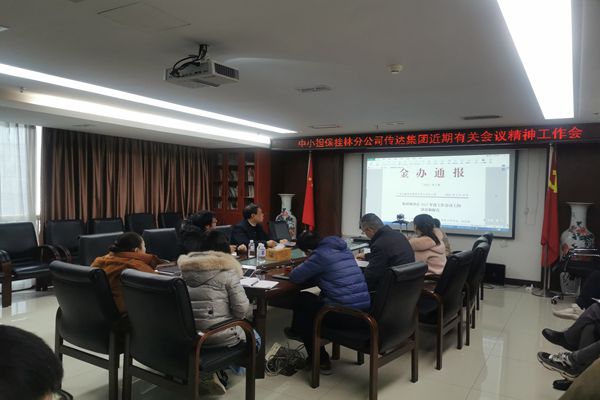 中小擔保桂林分公司召開專題會議傳達落實集團近期有關(guān)會議精神