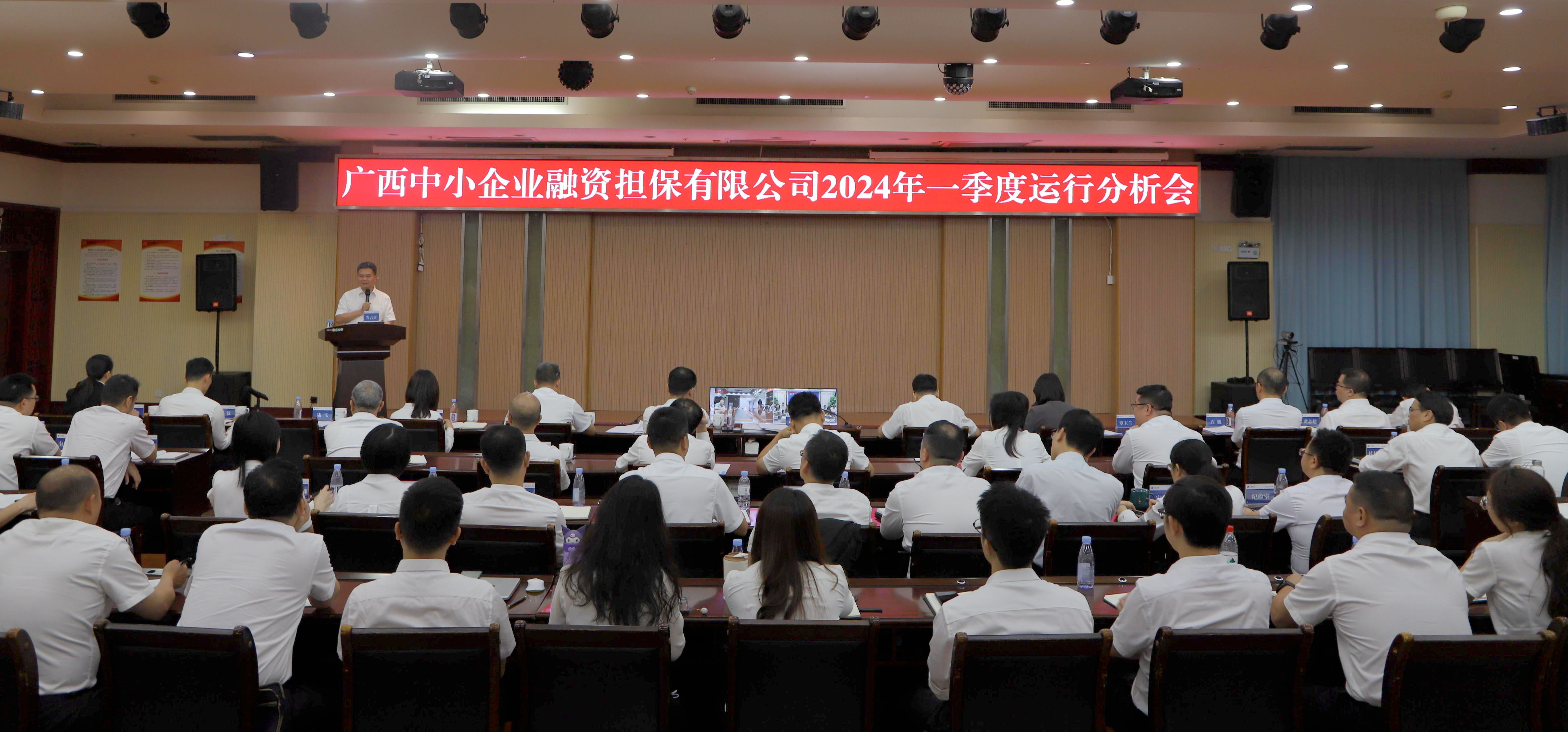 【落實(shí)落細(xì)落地，全力攻堅(jiān)“雙過(guò)半”】中小擔(dān)保召開(kāi)2024年一季度運(yùn)行分析會(huì)